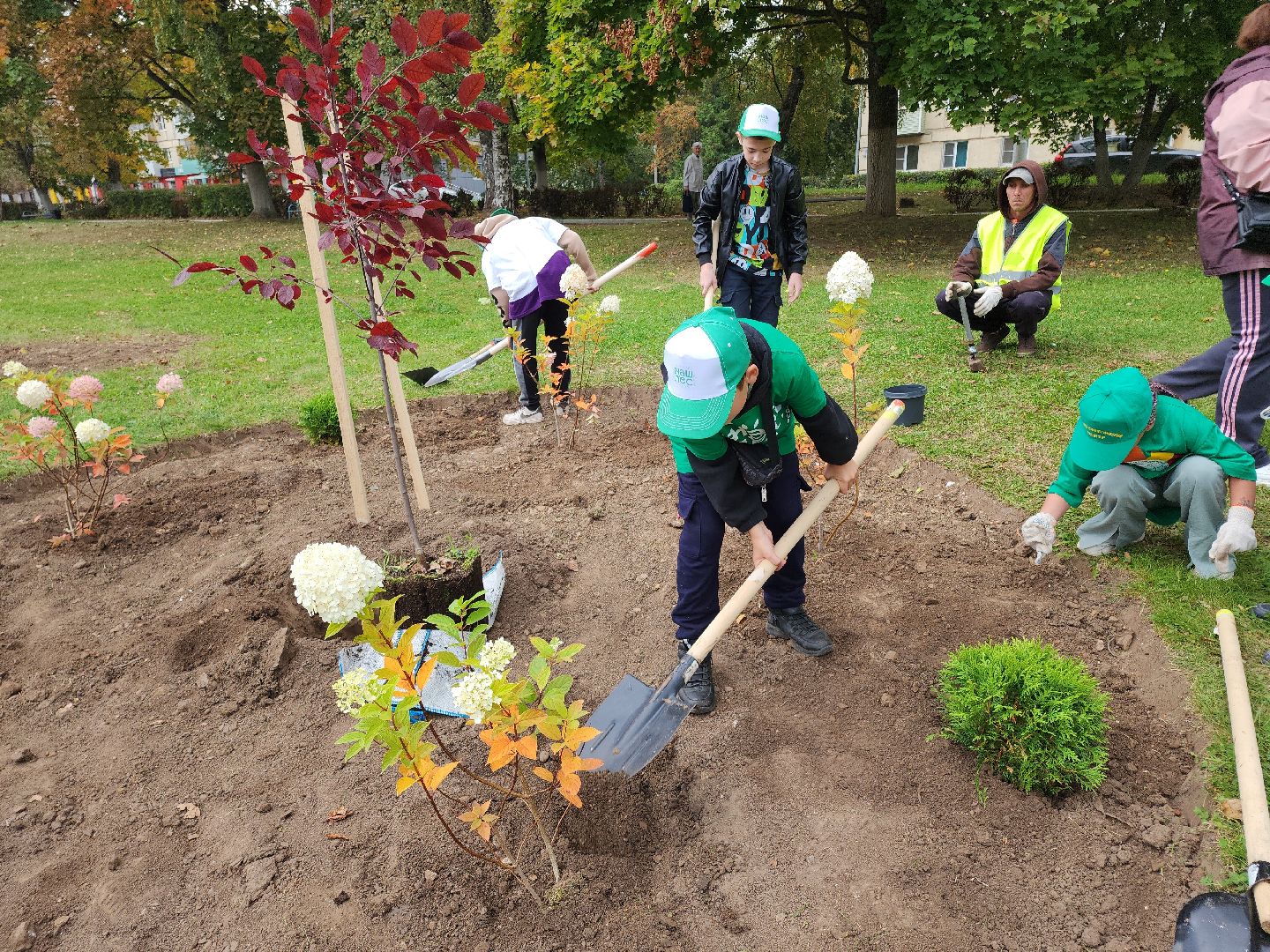 кашира, наш лес, благоустройство, экология,