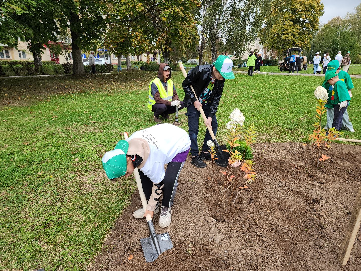 кашира, наш лес, благоустройство, экология,