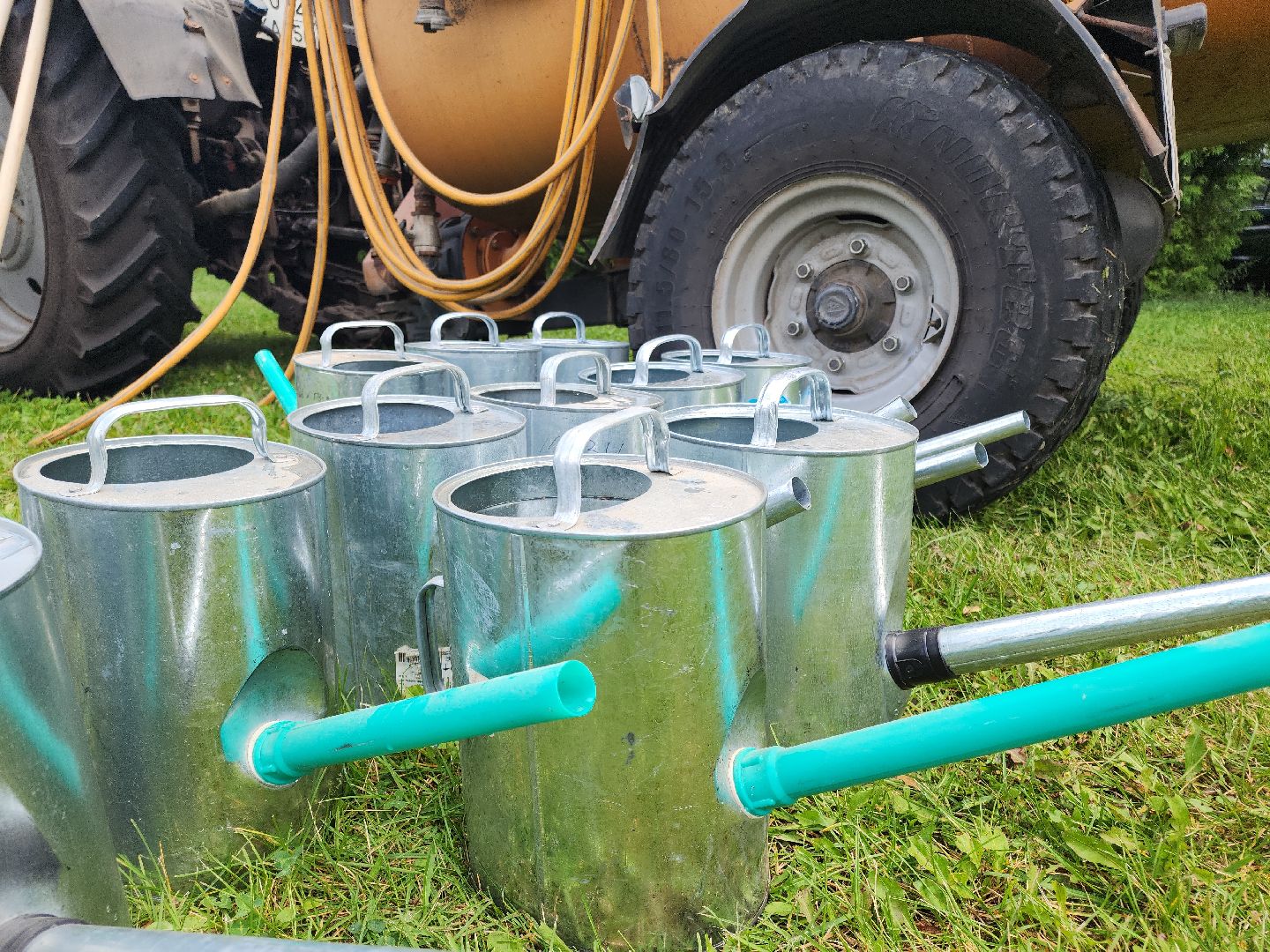 кашира, наш лес, благоустройство, экология,