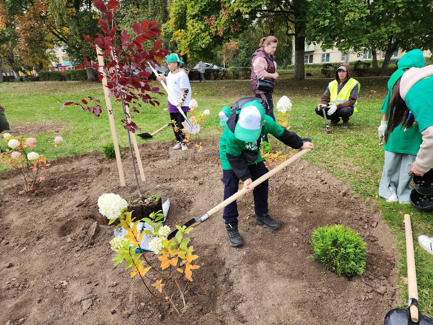 кашира, наш лес, благоустройство, экология,