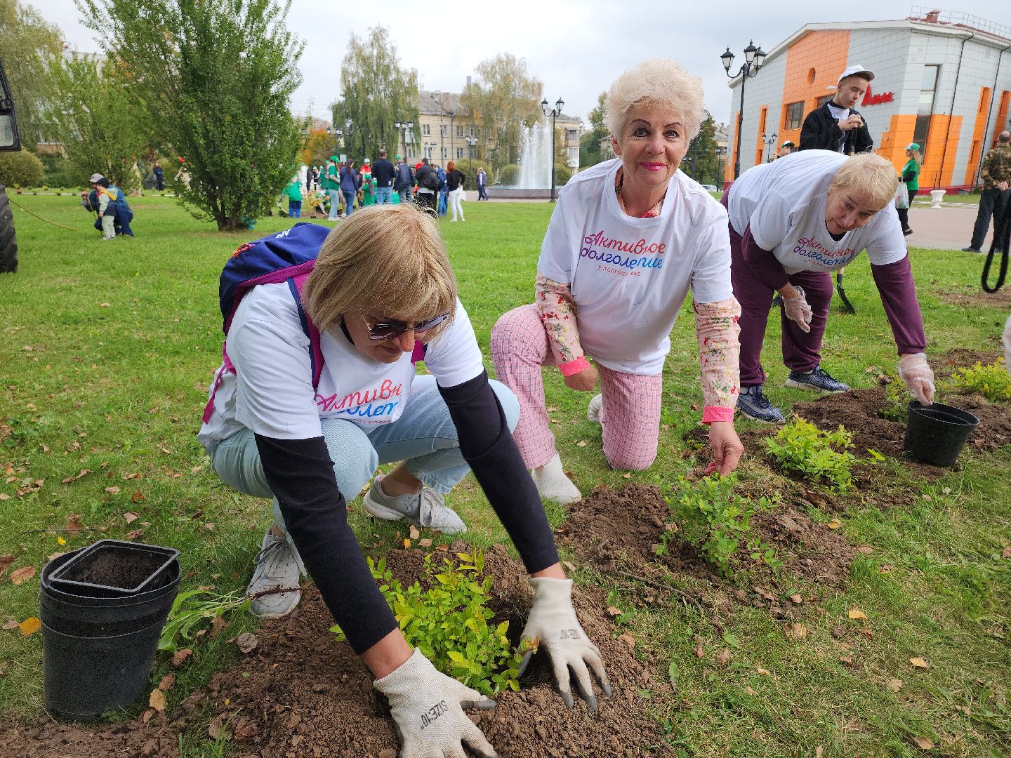 кашира, наш лес, благоустройство, экология,