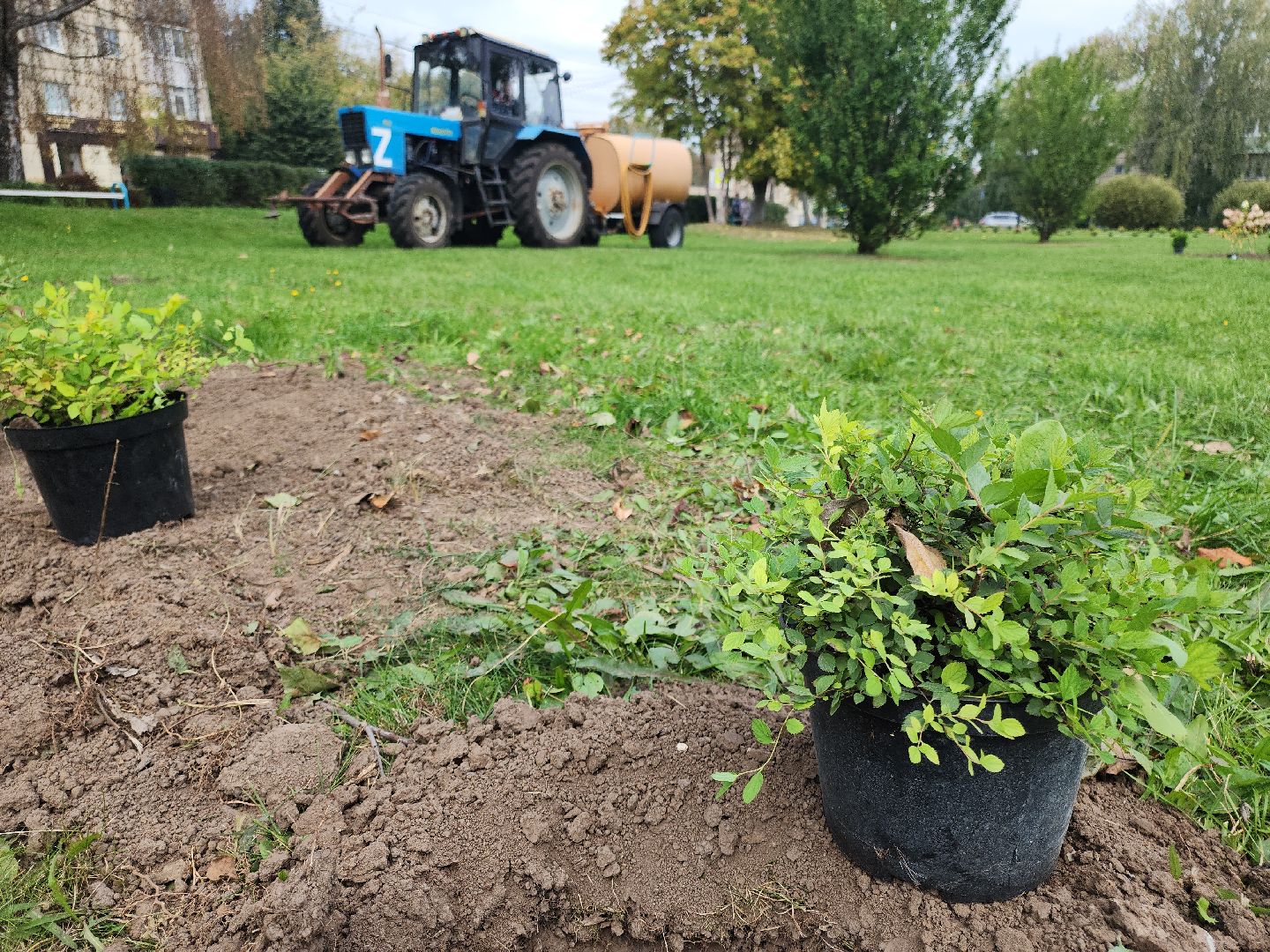 кашира, наш лес, благоустройство, экология,