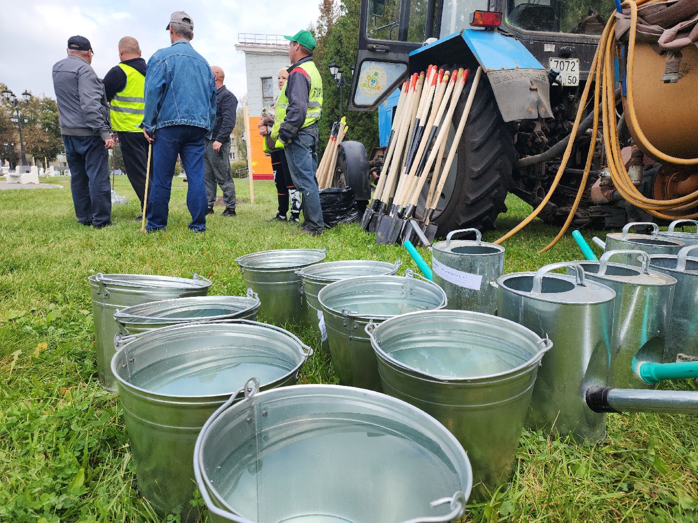 кашира, наш лес, благоустройство, экология,