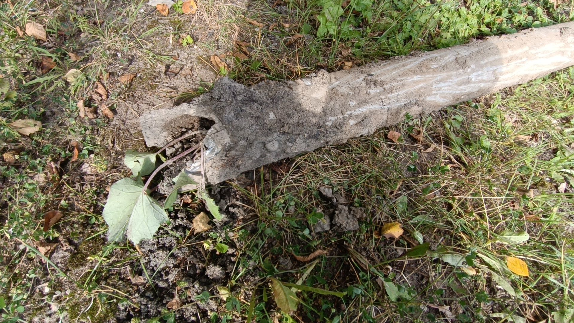 лобня, дорога, благоустройство,