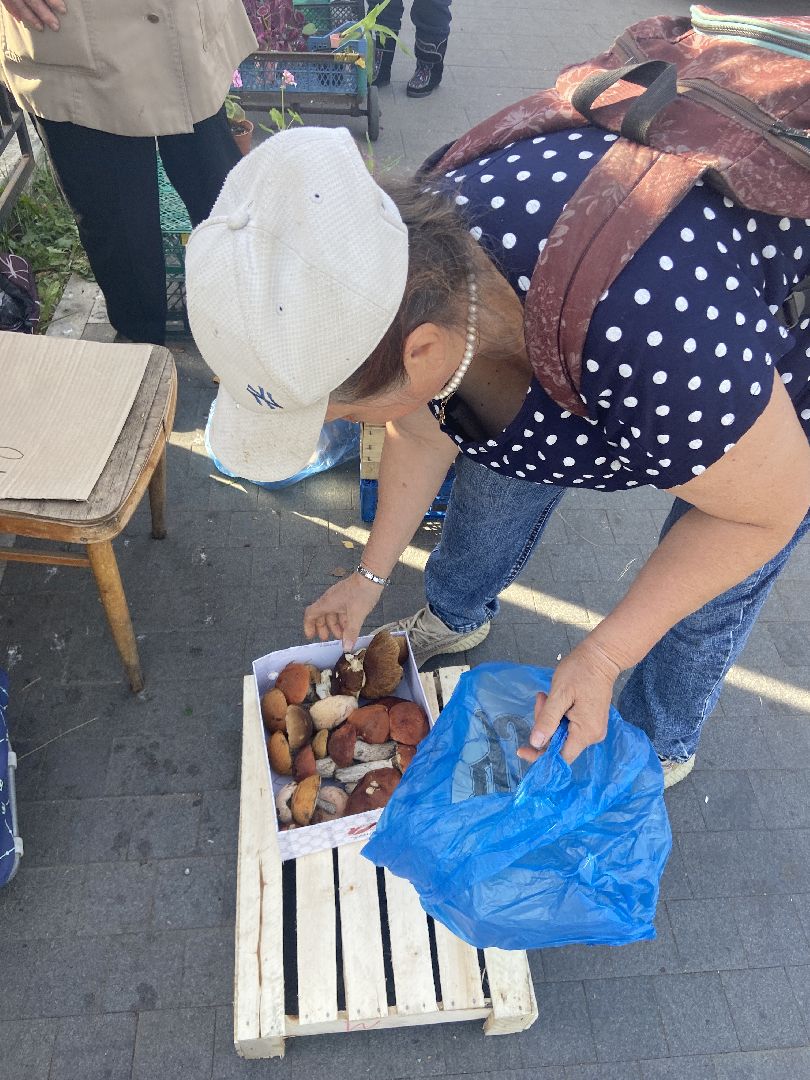 грибной сезон, грибы, врач,