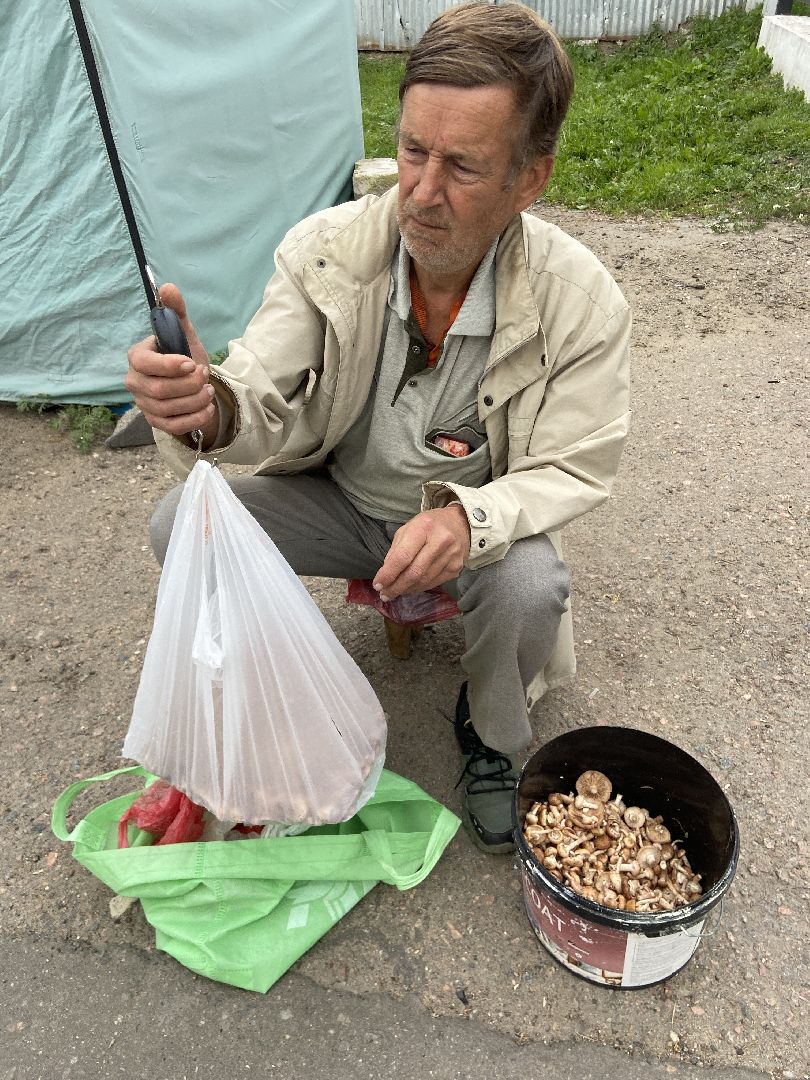 грибной сезон, грибы, врач,
