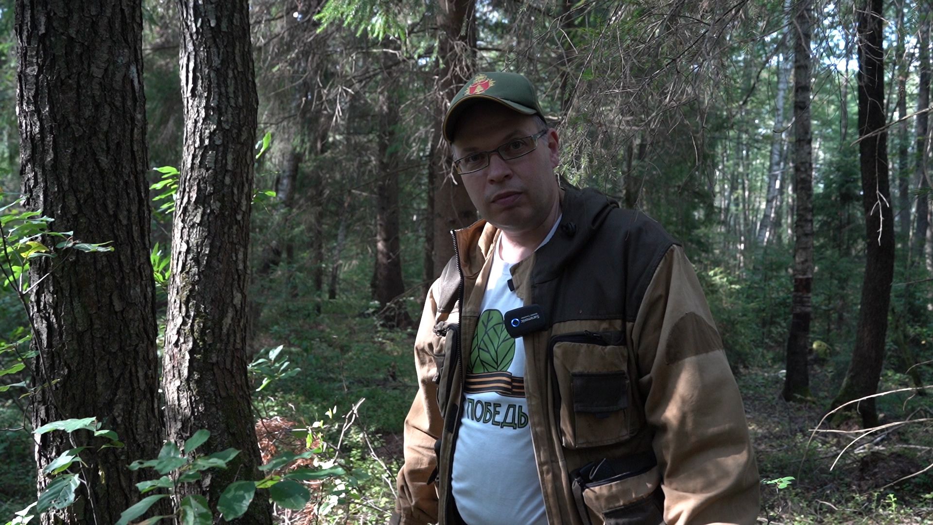 грибы, грибной сезон, Шатура,