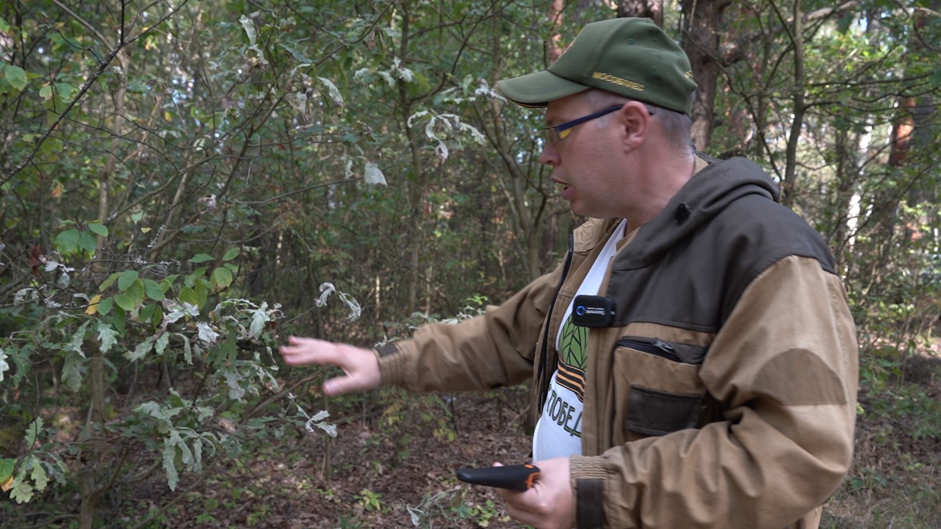 грибы, грибной сезон, Шатура,