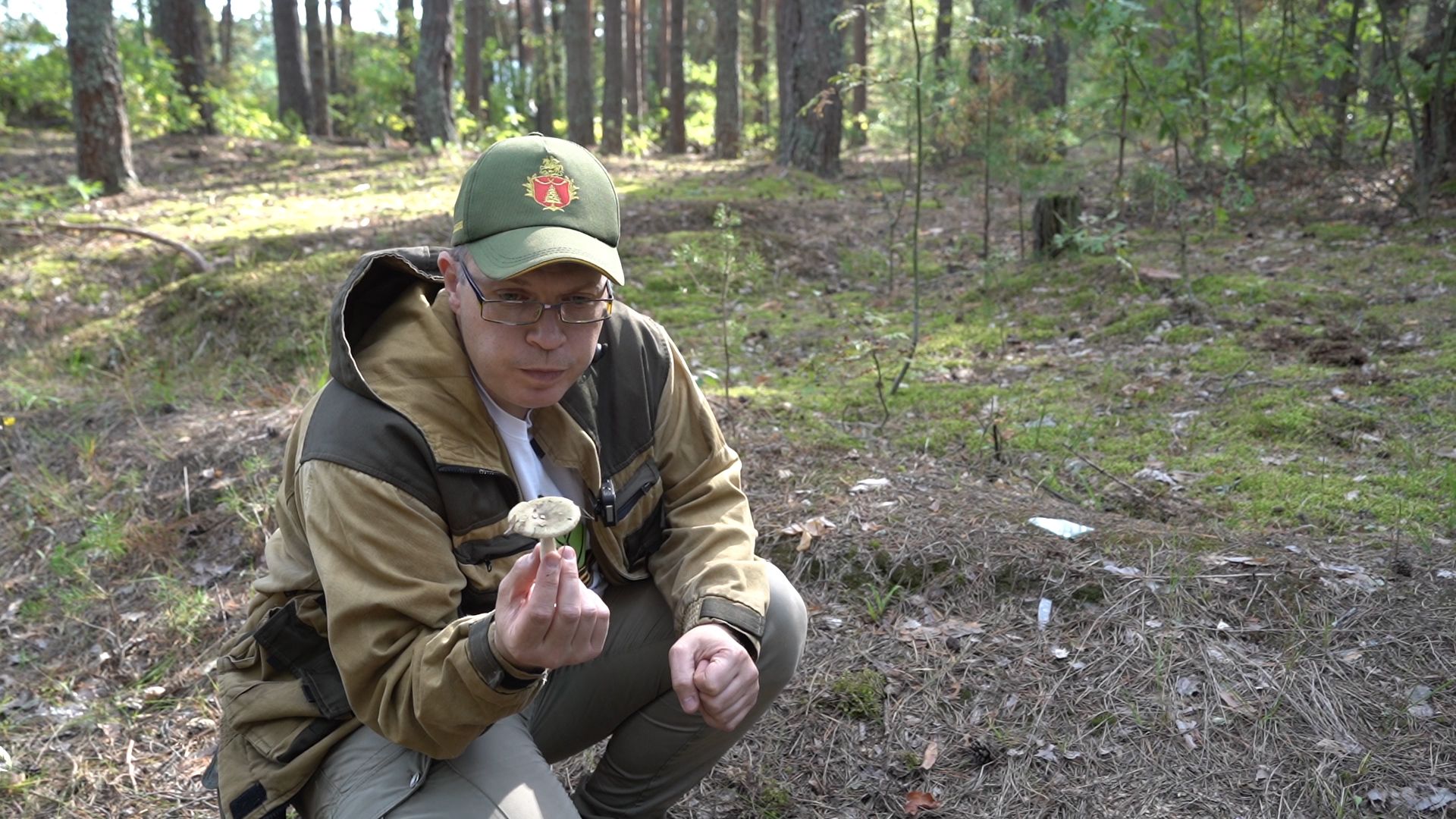 грибы, грибной сезон, Шатура,