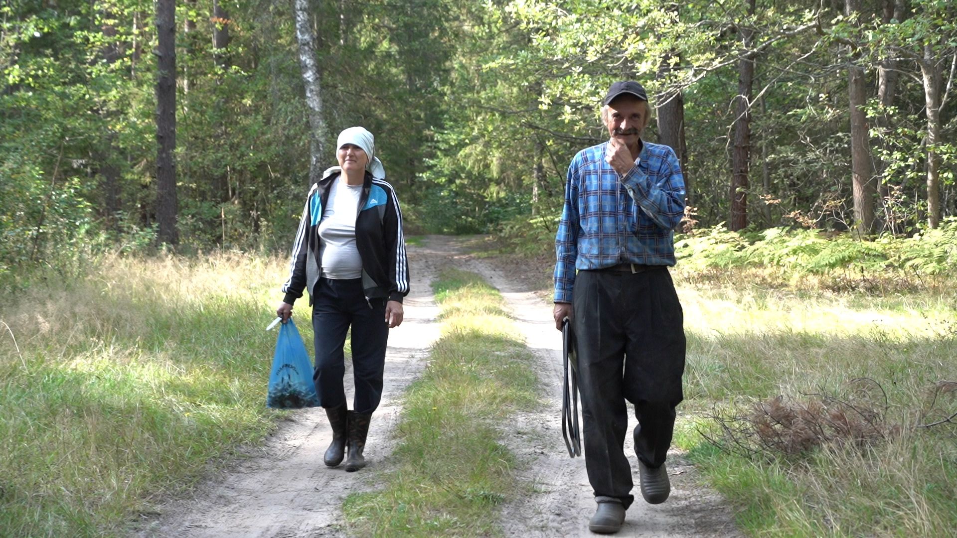 грибы, грибной сезон, Шатура,