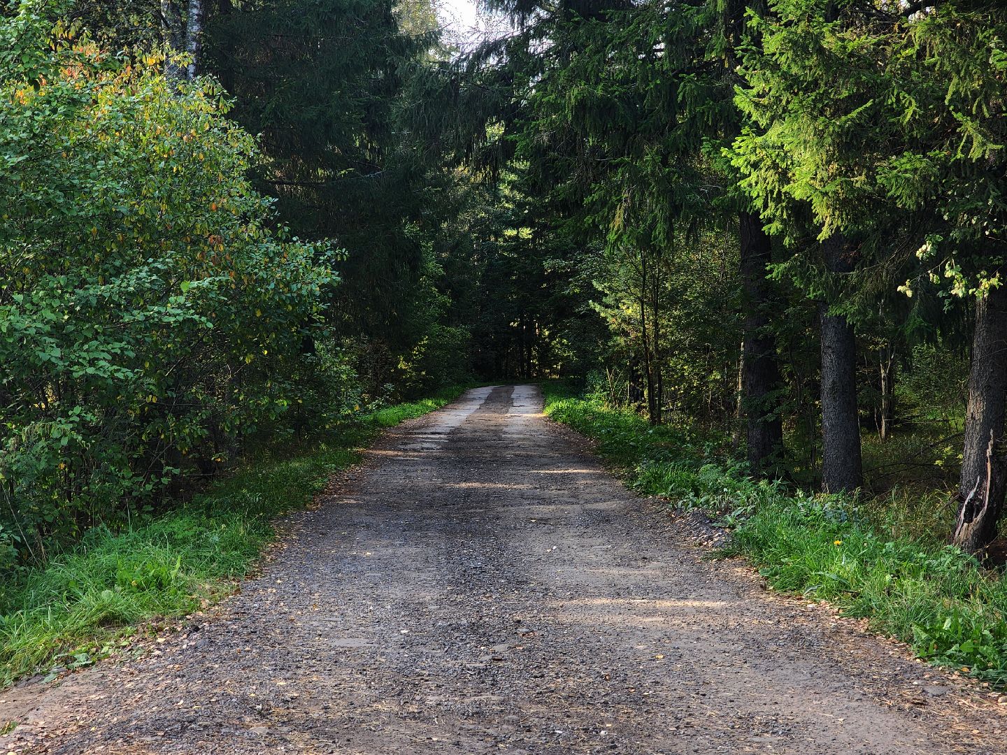 Павловский Посад, Городской округ Павловский Посад, Люди, Церковь, Мистика, Деревня,