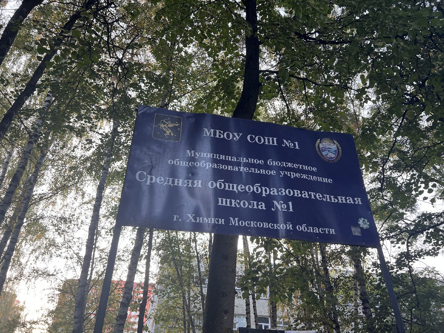 химки, школа, образование, дополнительное образование,