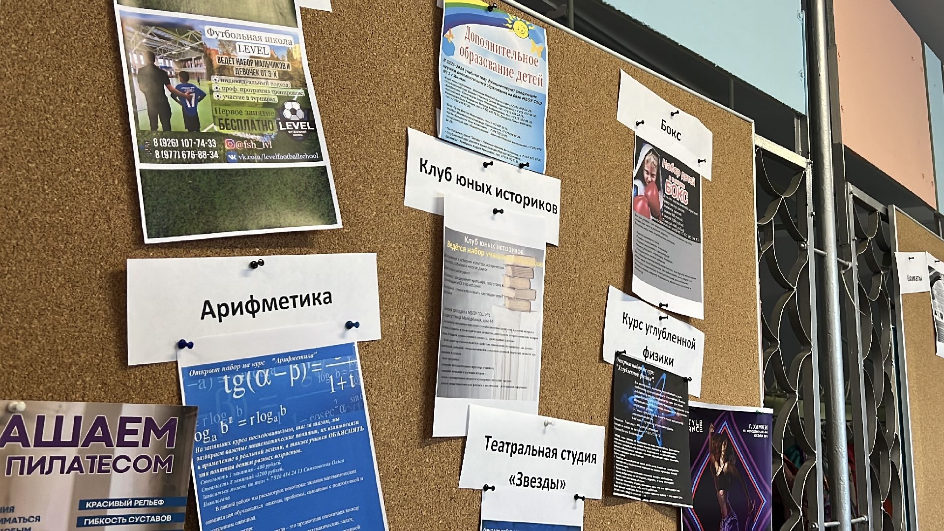 химки, школа, образование, дополнительное образование,