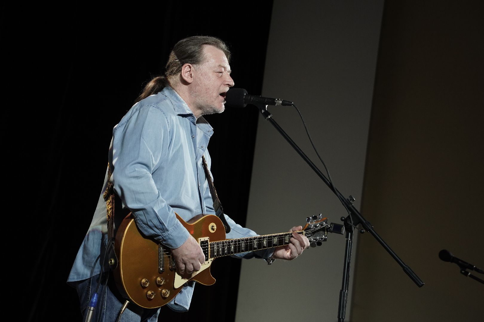 Рошаль, благотворительный концерт, Большая Шатура, Народ и армия едины, Русский мир, Сердце Мещеры,