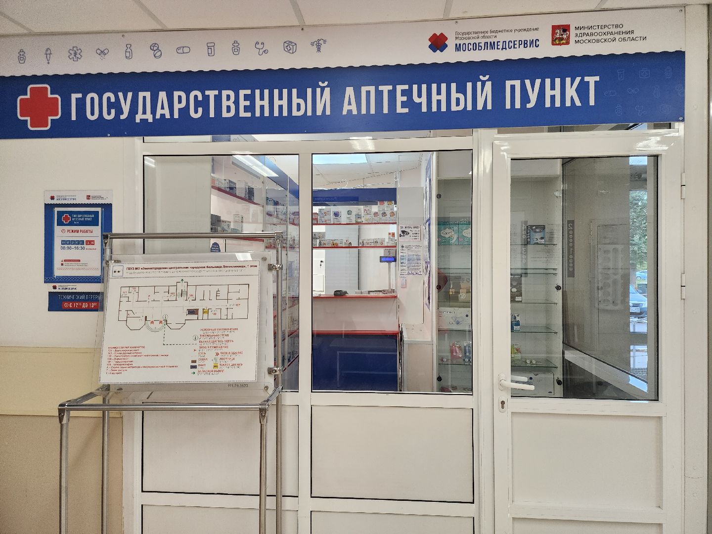 Звенигород, Медицина, Вакцинация от гриппа, Профилактика заболеваний, птичий грипп