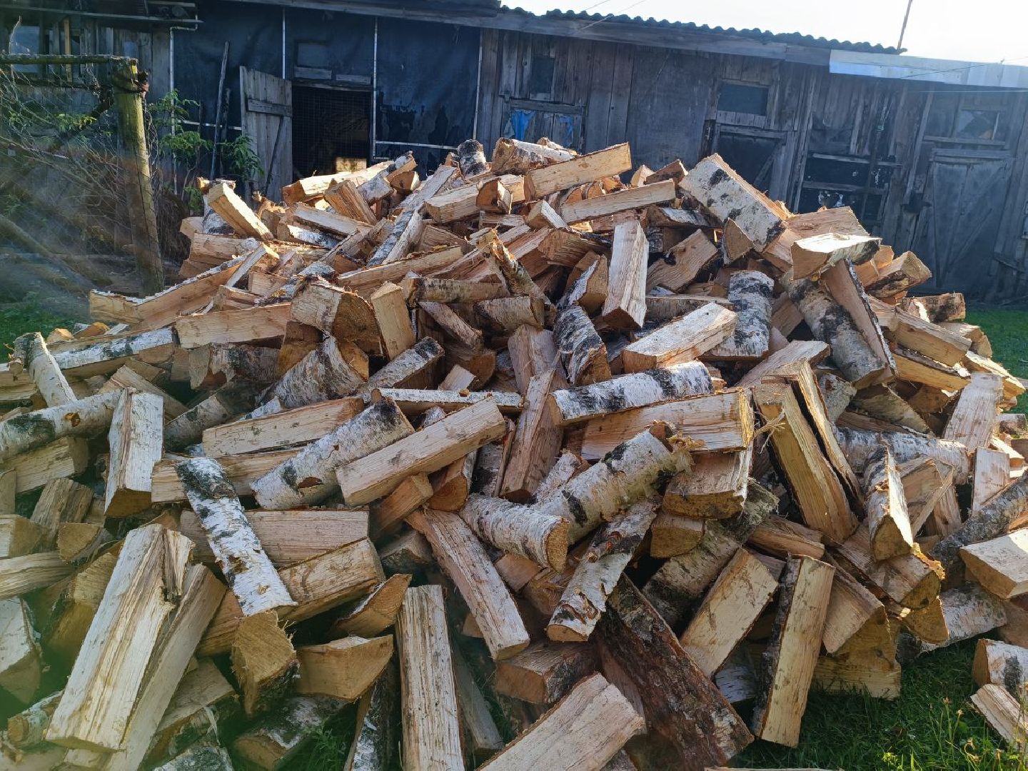 Можайск, Можайский городской округ, Подмосковье, военнослужащий, семья, помощь, глава округа, доброволец, СВО,