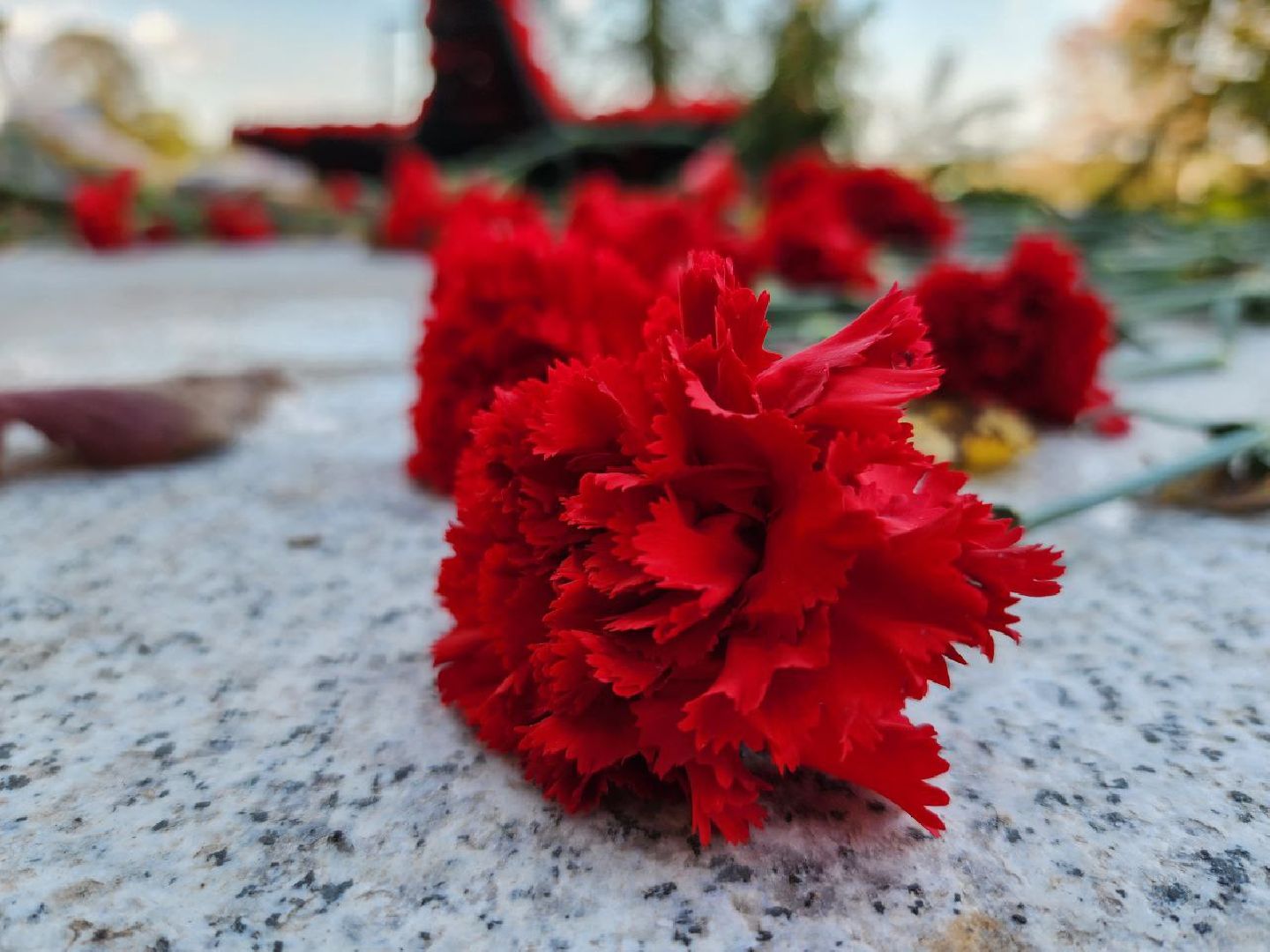 Можайск, Можайский городской округ, Населнный пункт воинской доблести, стелы, память, Великая Отечественная война, подвиг, солдаты,