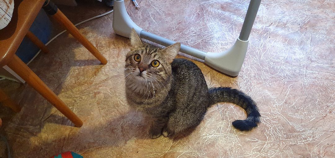 Дзержинский, безопасность, газовый анализатор, Подмосковье,ЖКХ