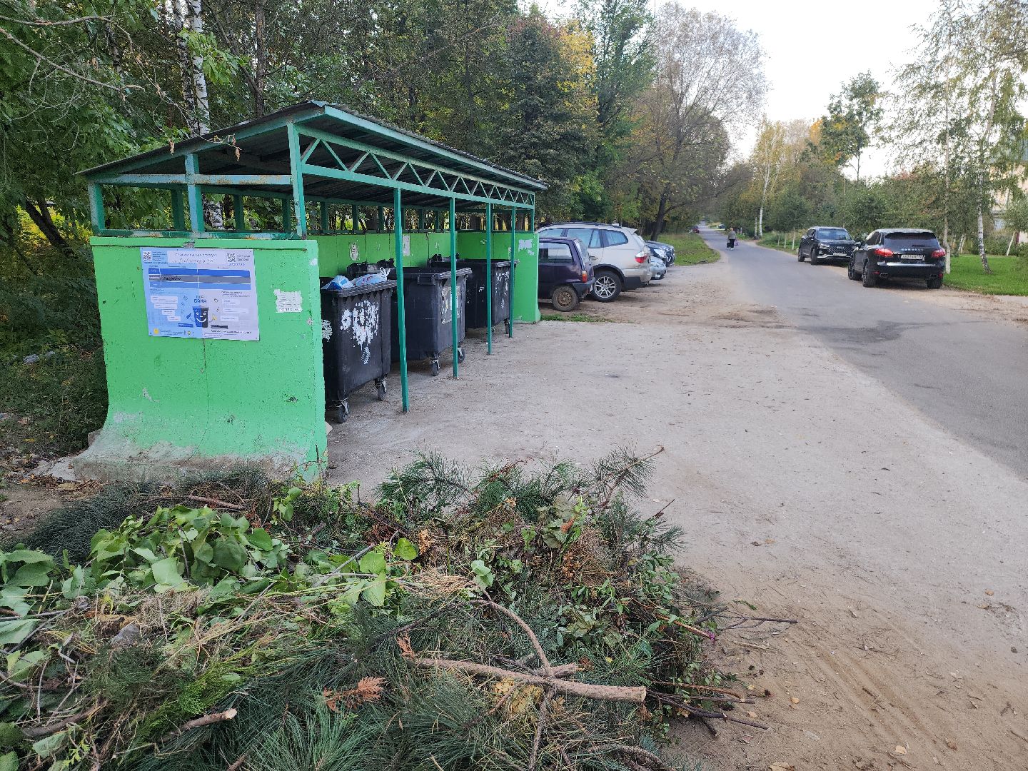 домодедово, мусор,