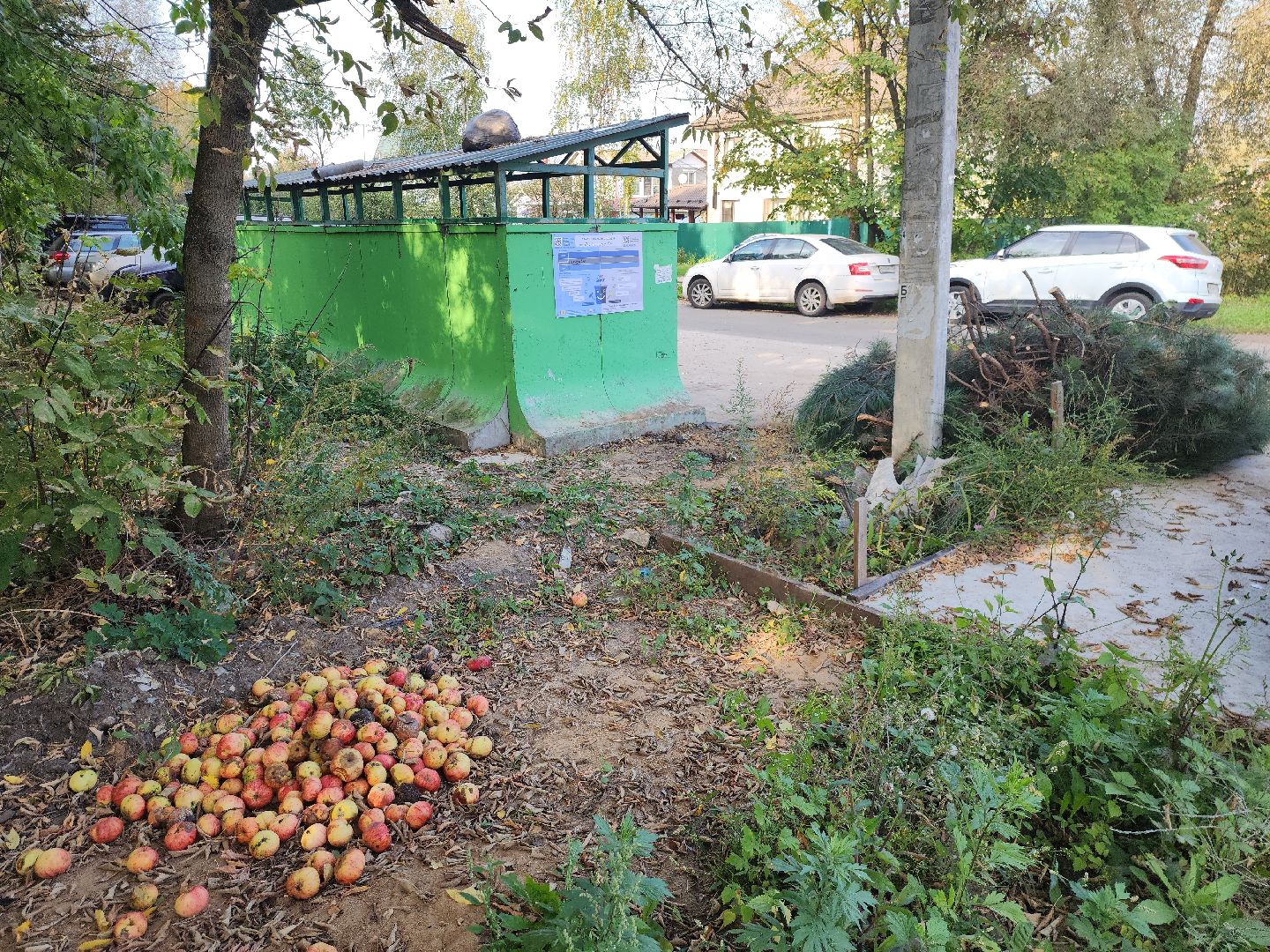 домодедово, мусор,