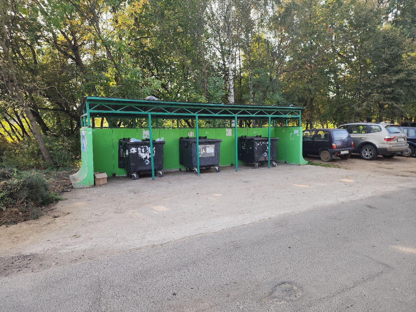 домодедово, мусор,