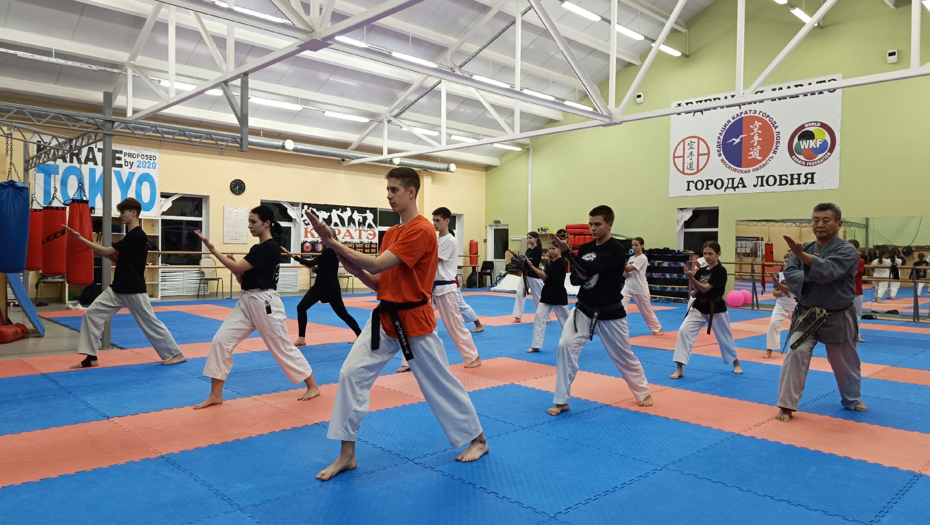 лобня, карате, Лепс,