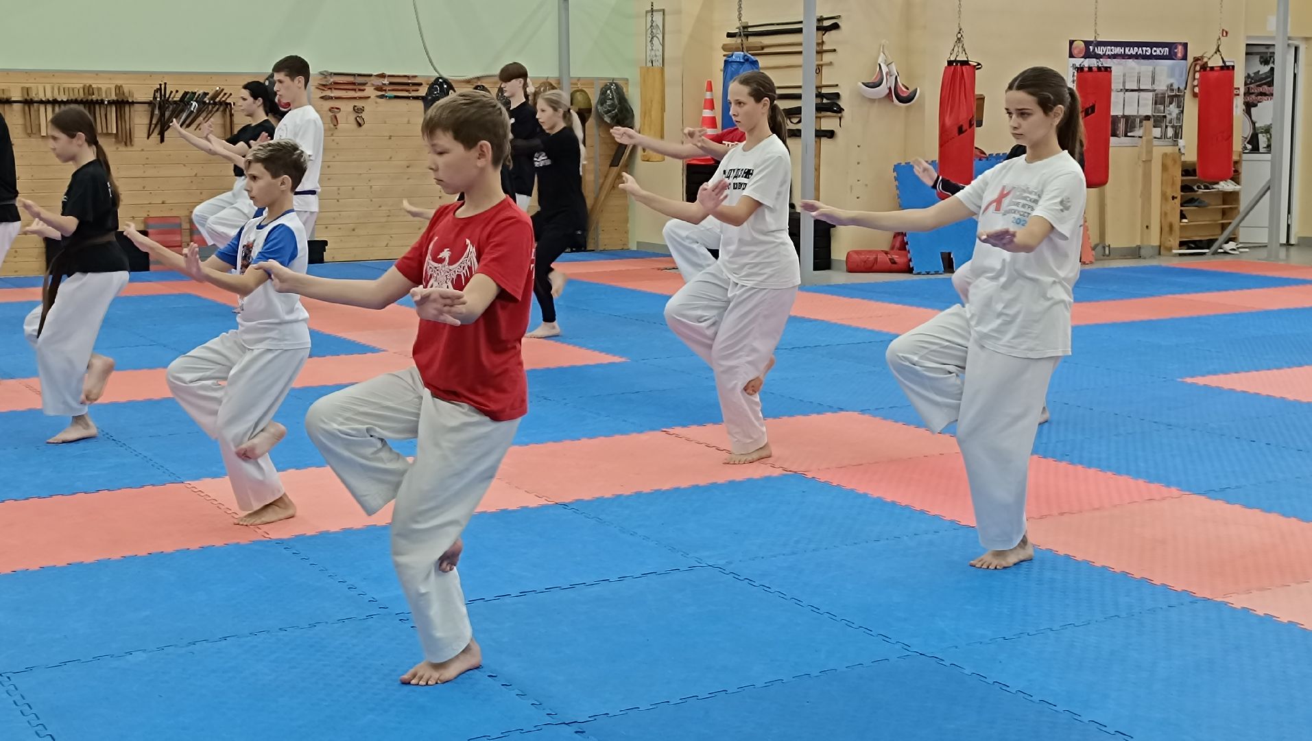 лобня, карате, Лепс,