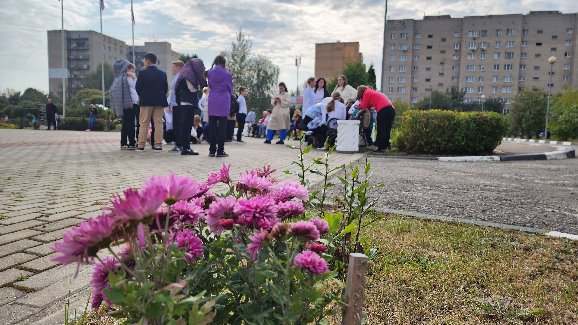 подмосковье, городской округ пушкинский, ивантеевка, образование,