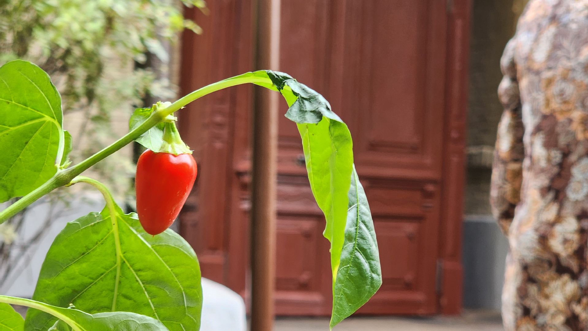 подмосковье, городской округ пушкинский, ивантеевка, наследие, реставрация,