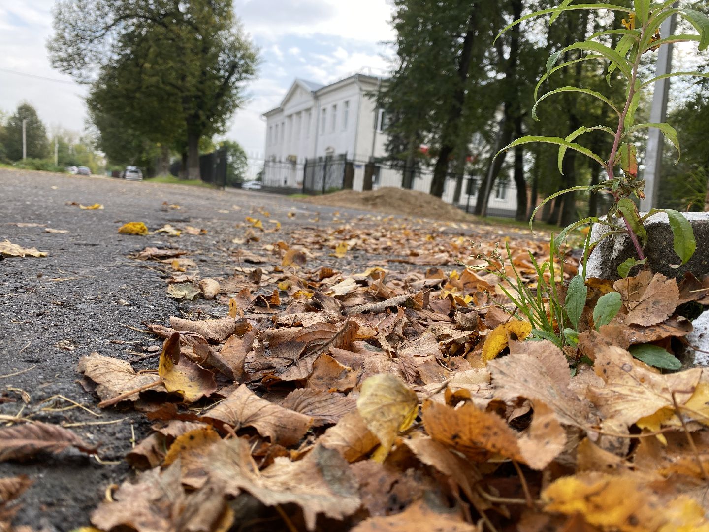 волоколамск, библиотека, тайна, здание, краеведы,