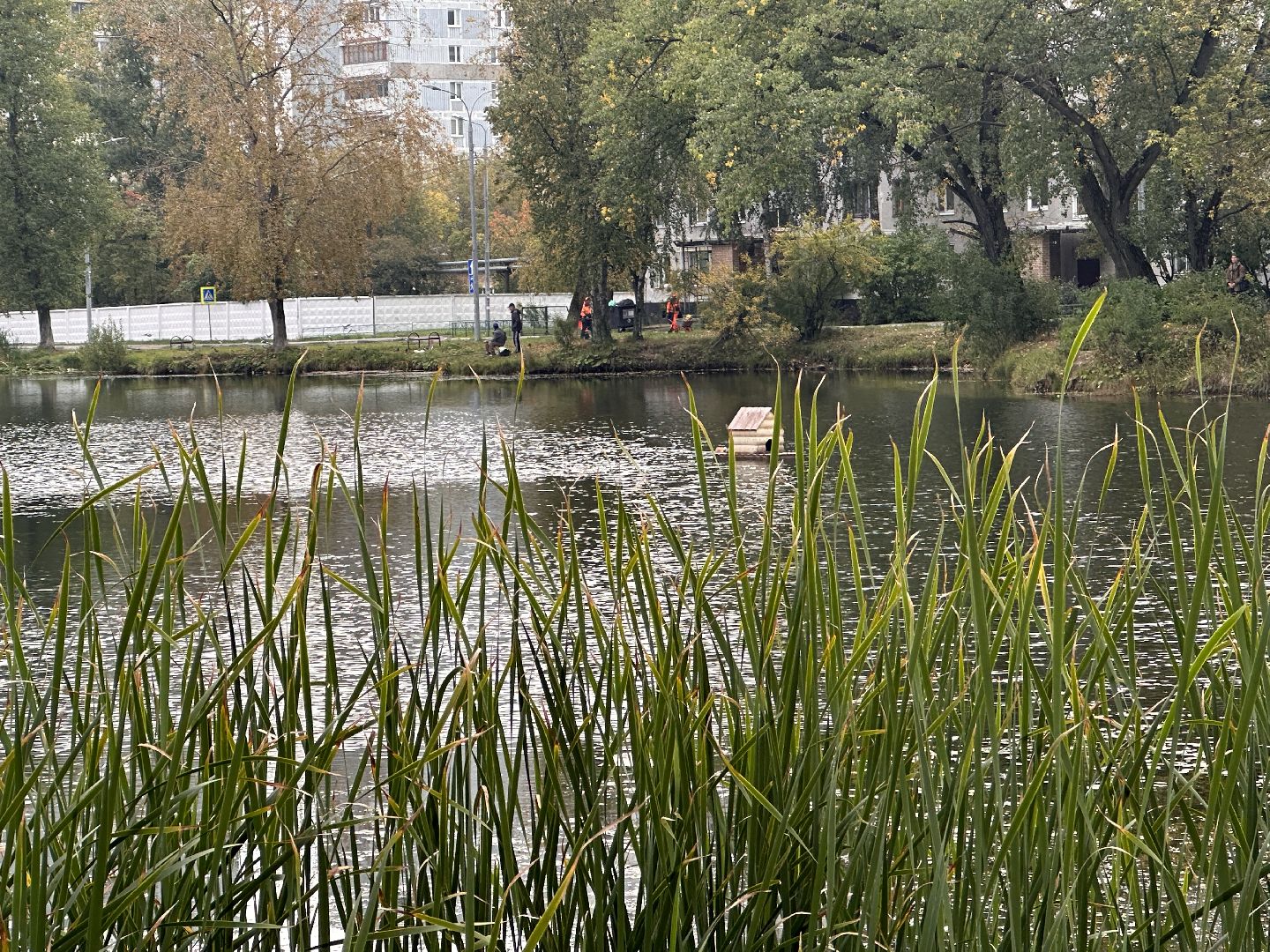 Одинцово, Благоустройство, Спорт,