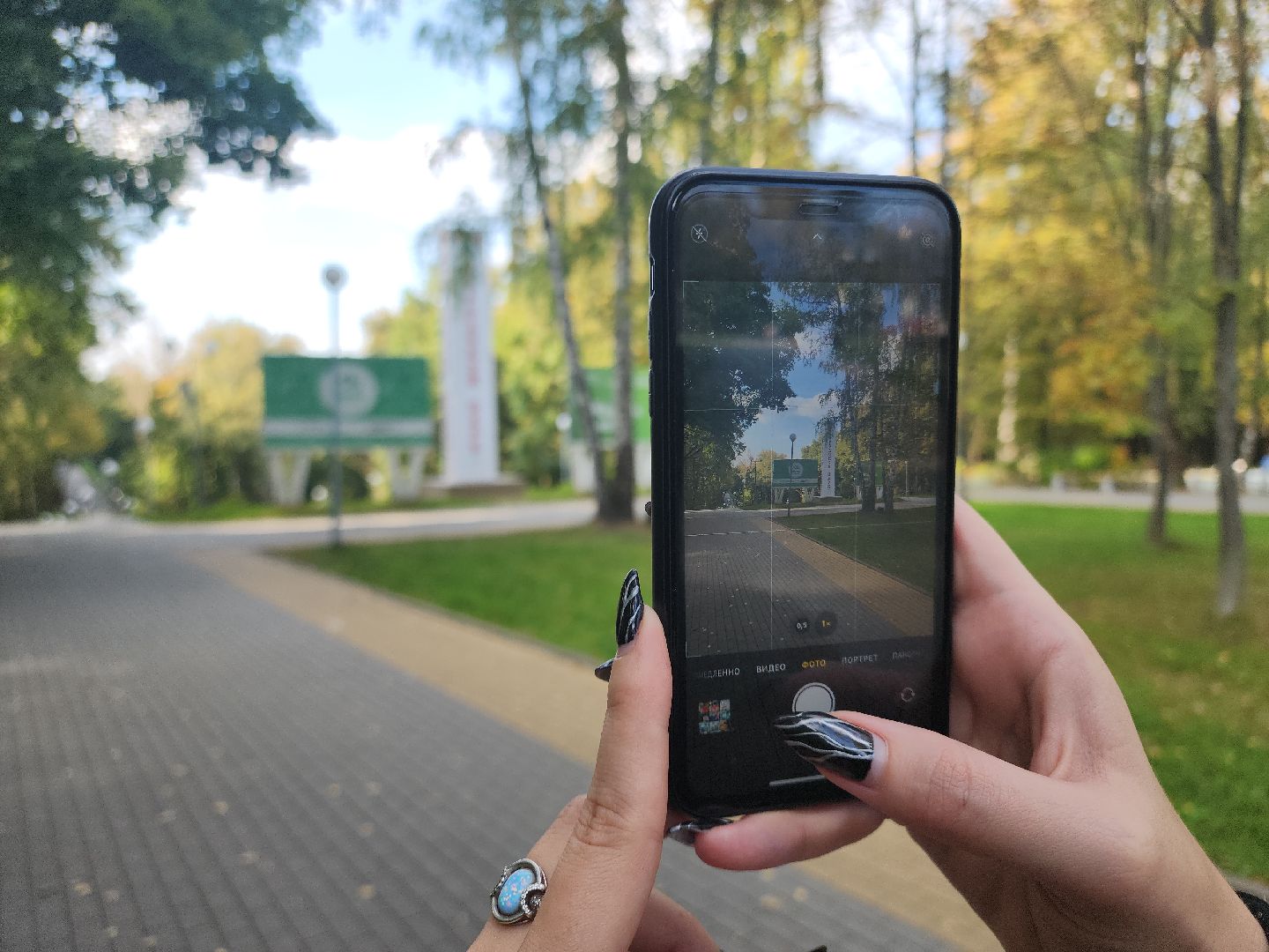 кашира, парк, фотоконкурс, осень, грибы, рога,