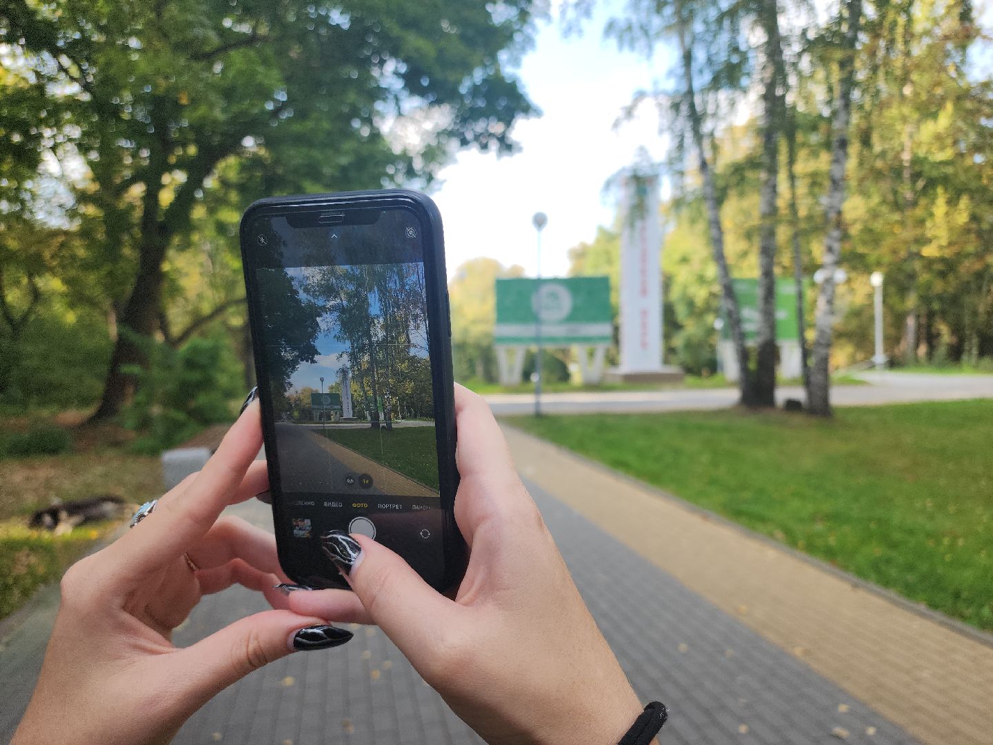 кашира, парк, фотоконкурс, осень, грибы, рога,