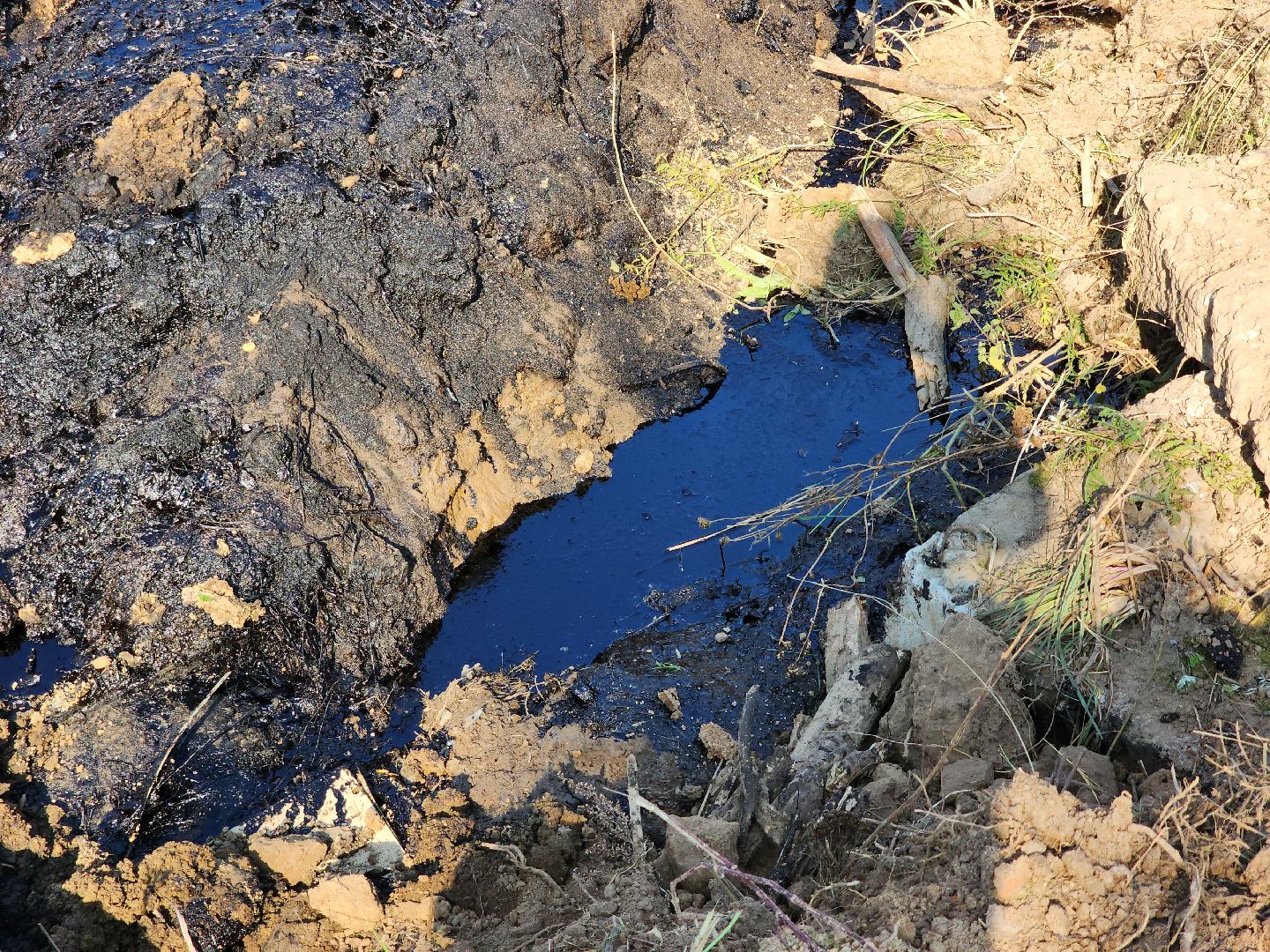 Ступино, разлив нефтепродуктов, экология,