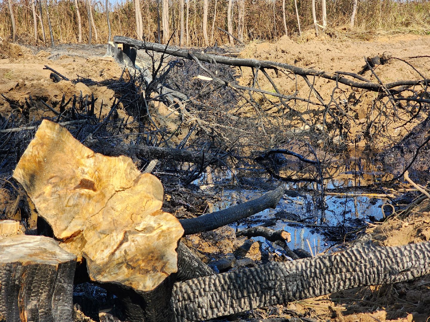 Ступино, разлив нефтепродуктов, экология,