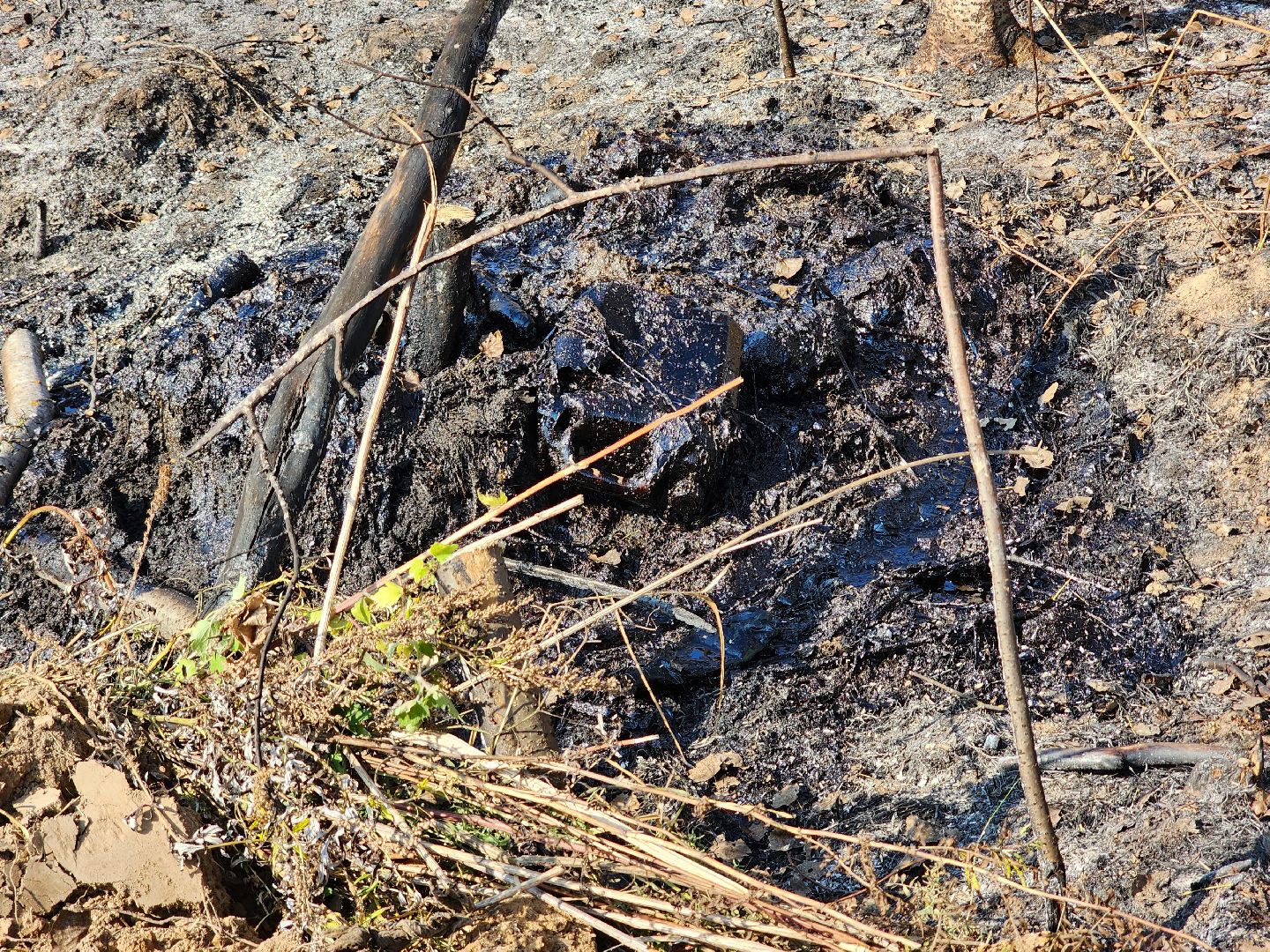 Ступино, разлив нефтепродуктов, экология,