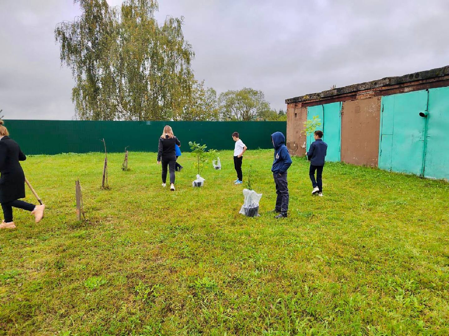 Солнечногорск, акция, посади дерево, экология, школьники,