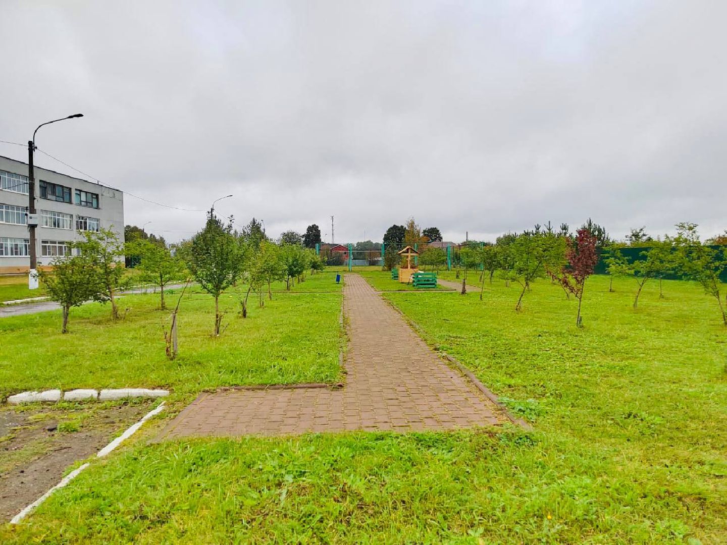 Солнечногорск, акция, посади дерево, экология, школьники,