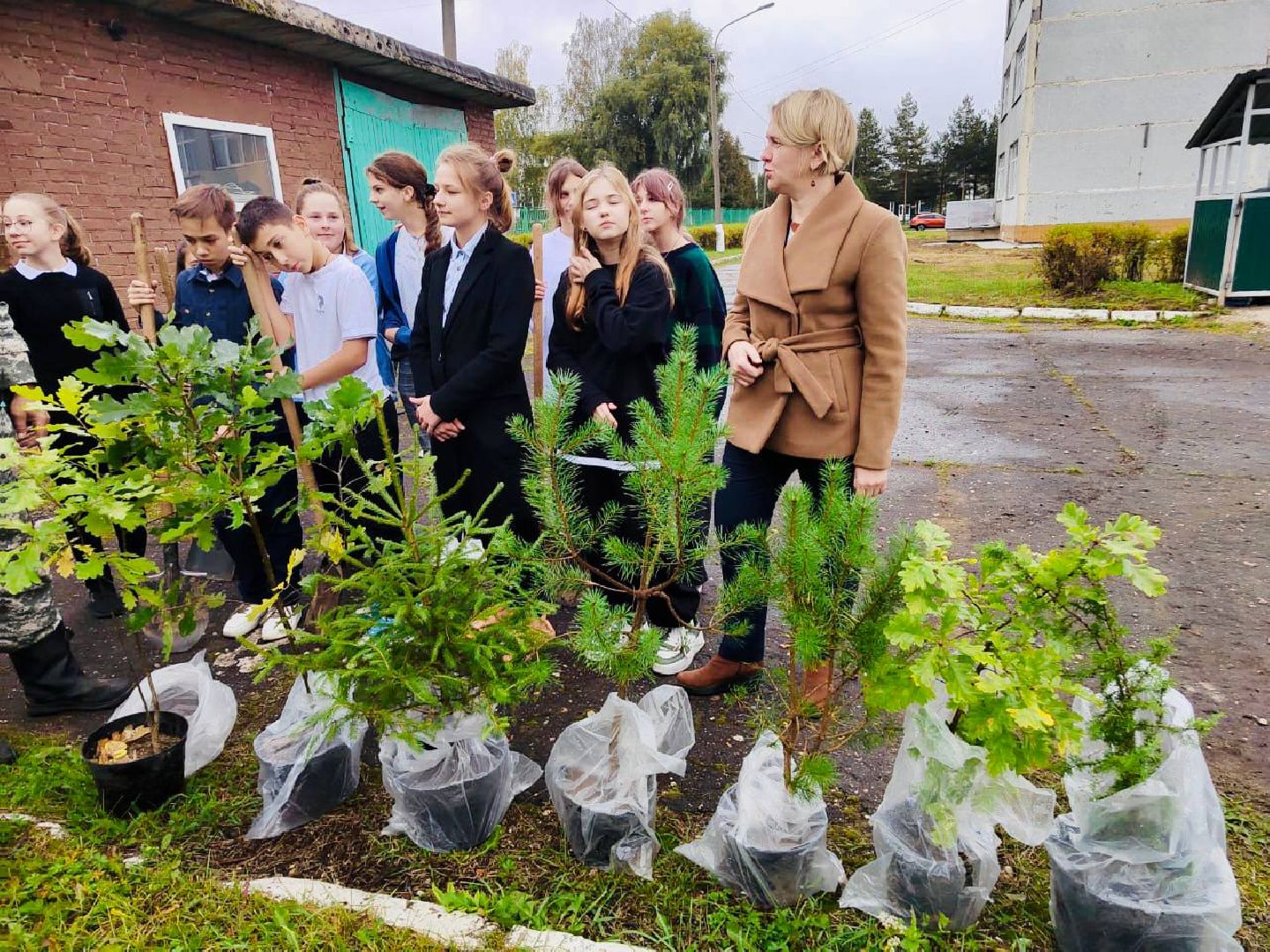Солнечногорск, акция, посади дерево, экология, школьники,