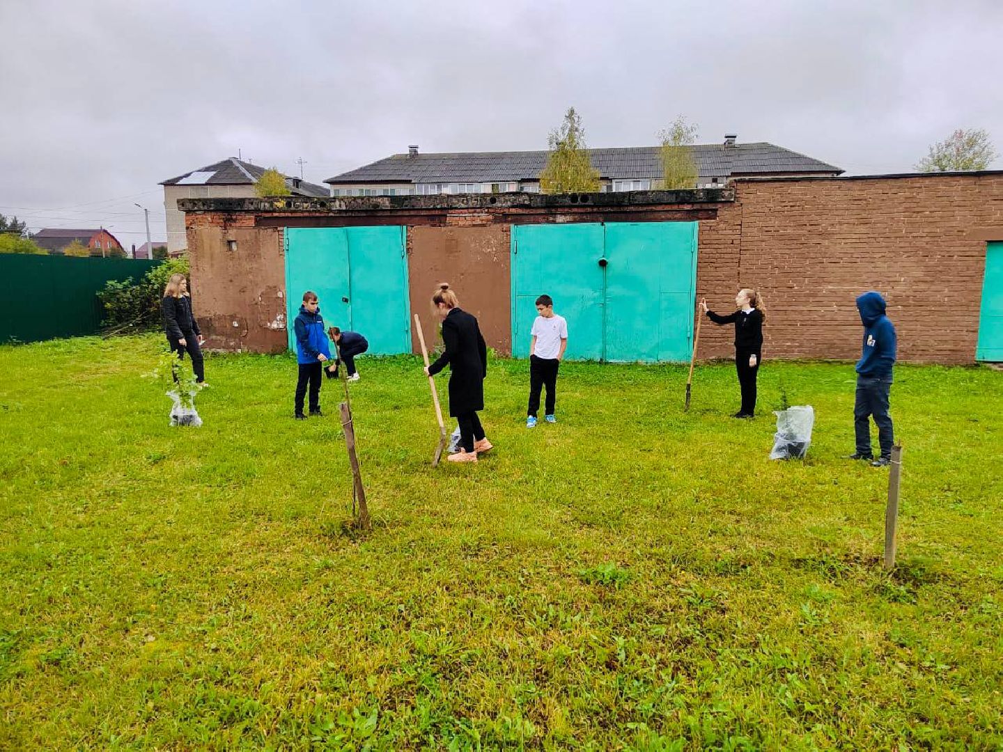 Солнечногорск, акция, посади дерево, экология, школьники,