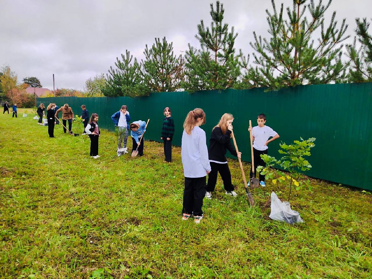 Солнечногорск, акция, посади дерево, экология, школьники,