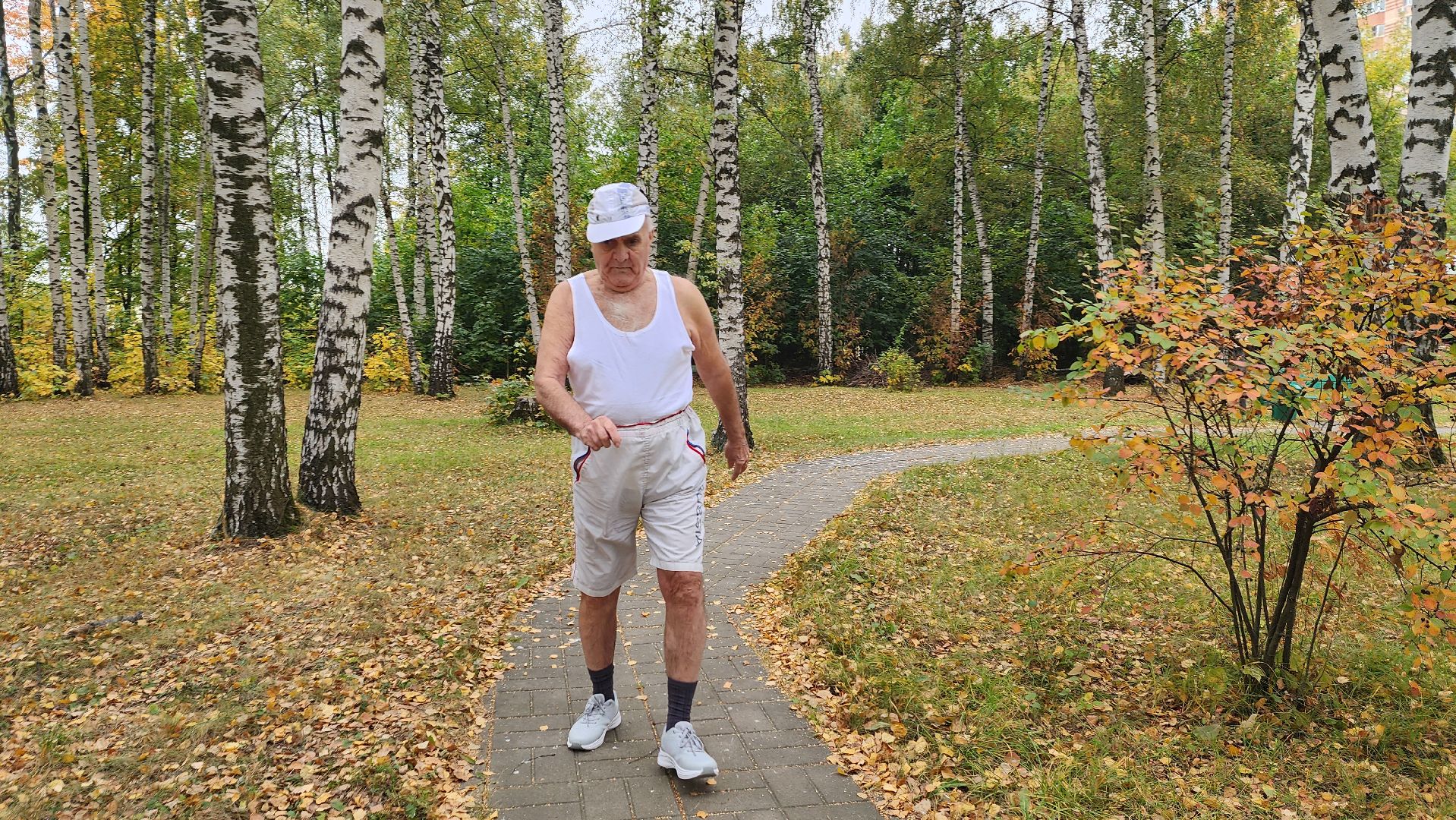 Подмосковье, Городской округ Пушкинский, Ивантеевка, активное долголетие, общество,