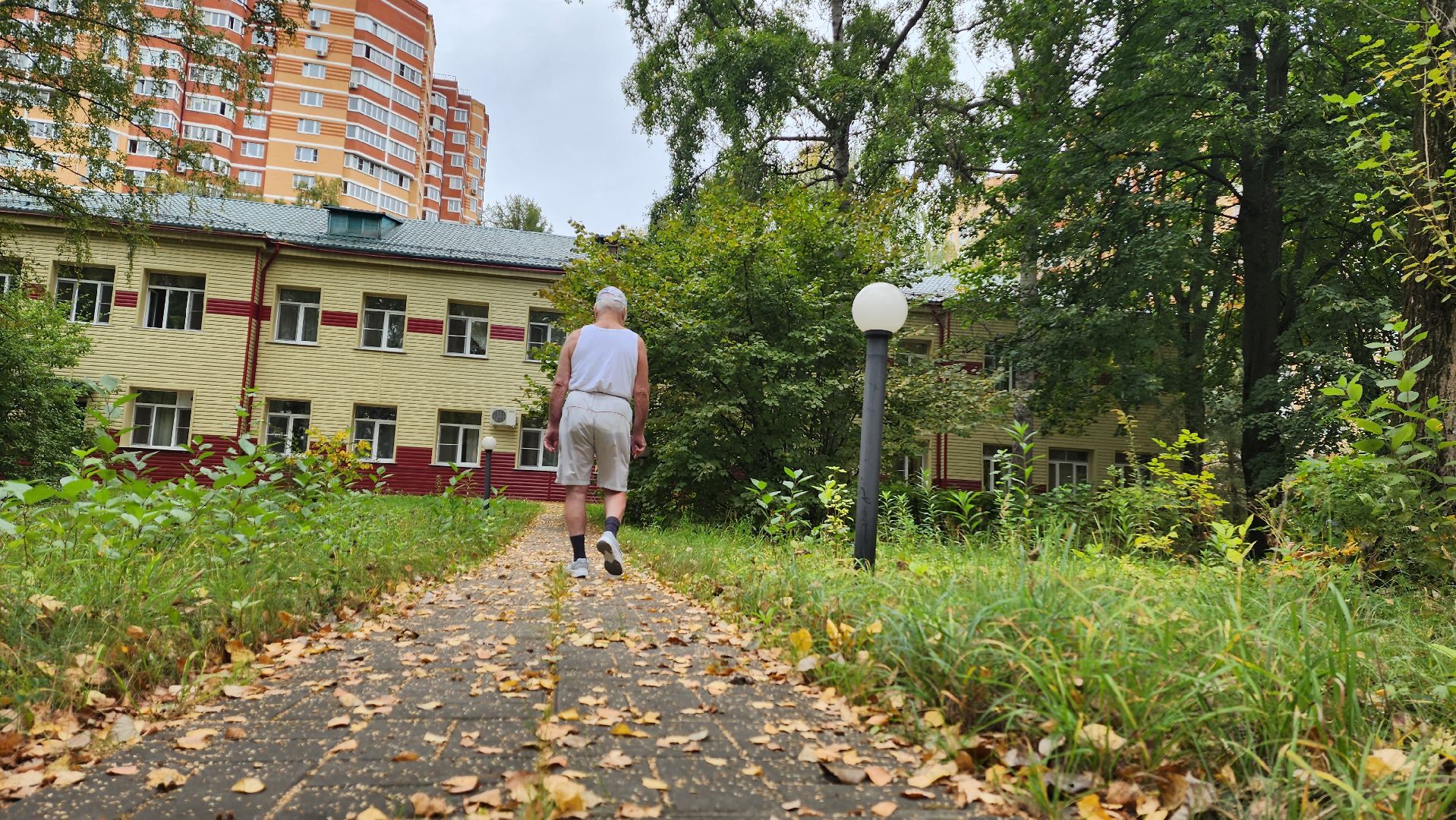 Подмосковье, Городской округ Пушкинский, Ивантеевка, активное долголетие, общество,