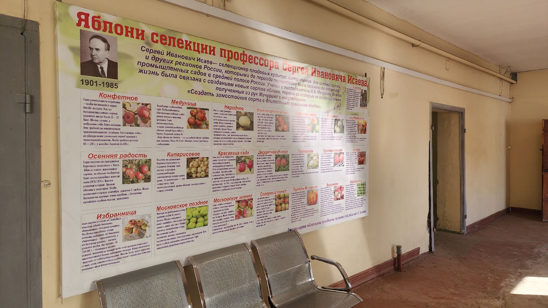 Подмосковье, городской округ пушкинский, Ивантеевка, сельское хозяйство,