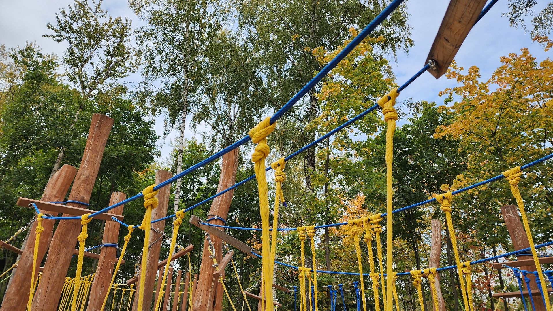 подмосковье, г.о. пушкинский, ивантеевка, благоустойство, парки подмосковья,