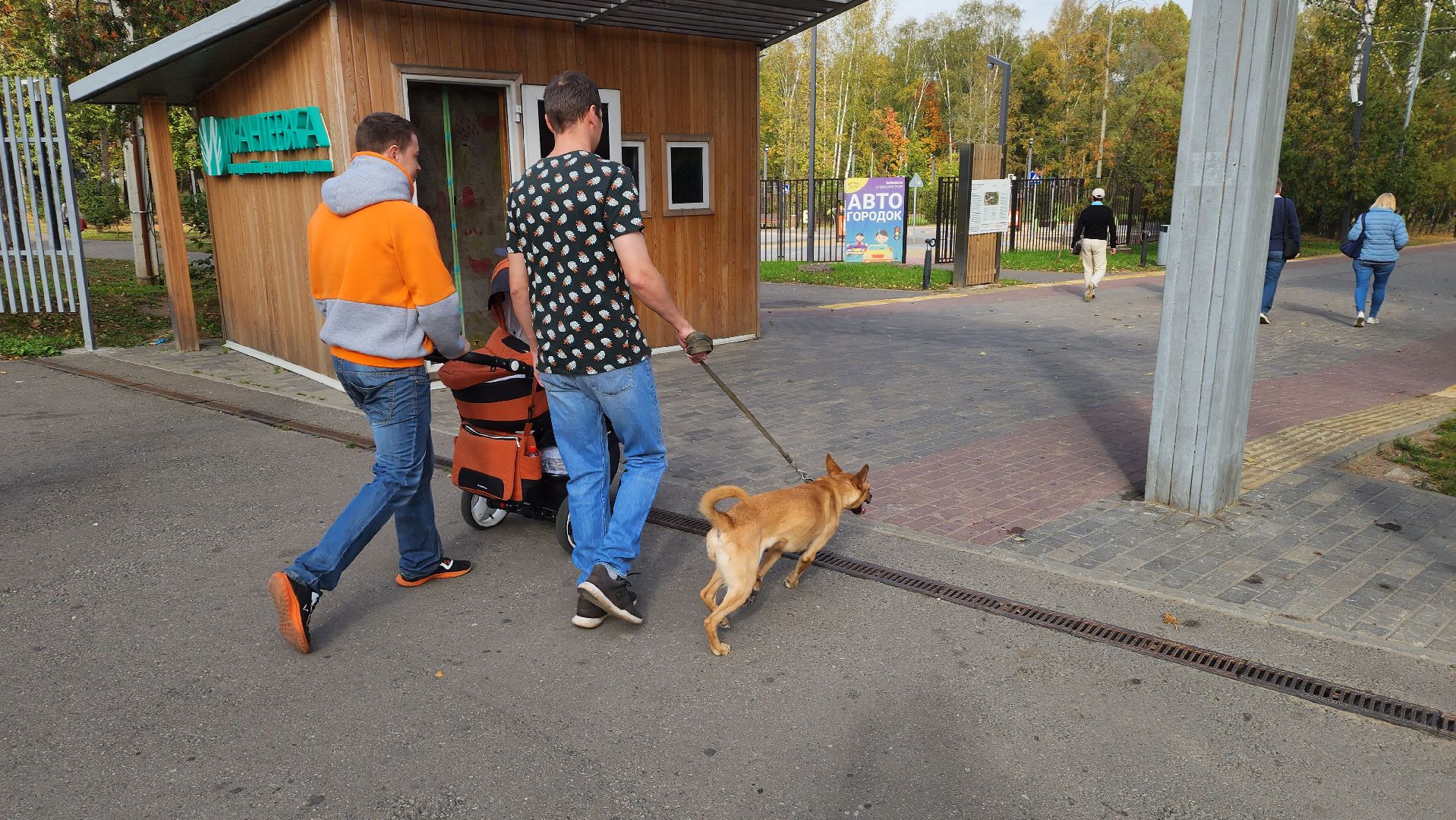 подмосковье, г.о. пушкинский, ивантеевка, благоустойство, парки подмосковья,