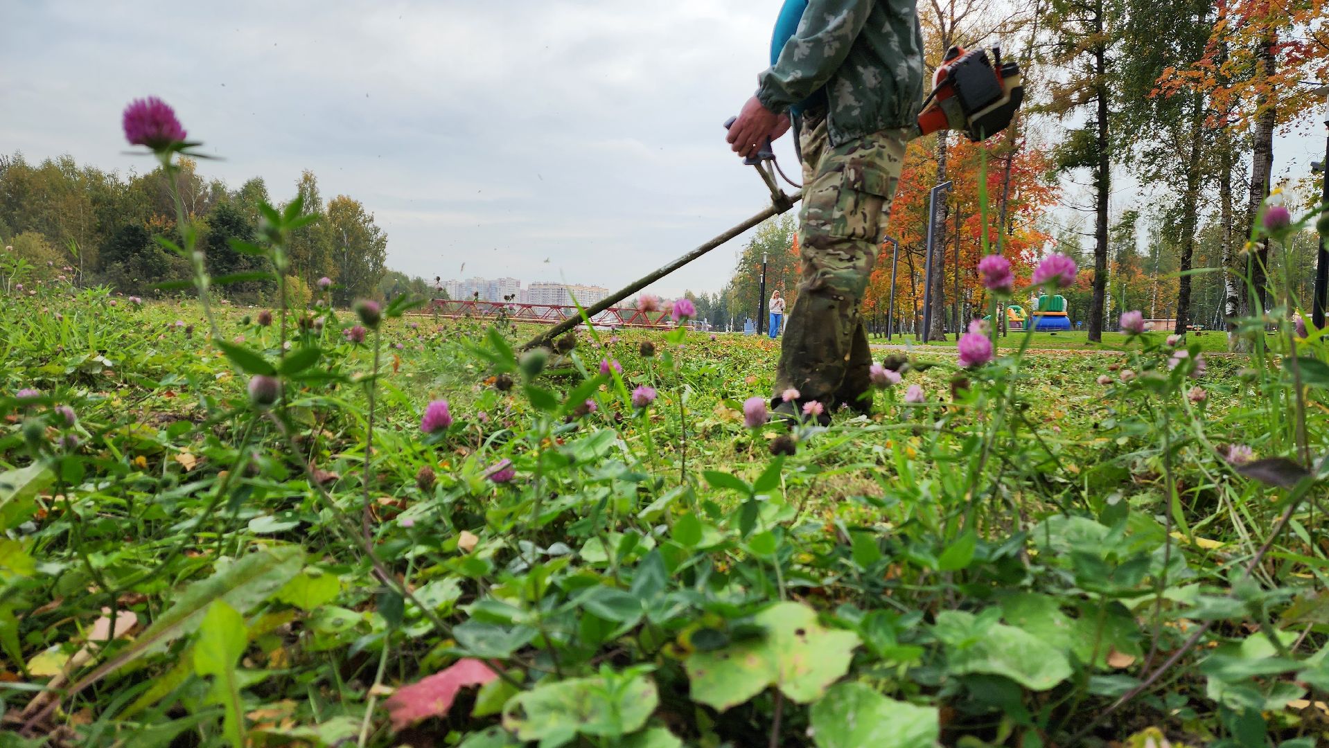 подмосковье, г.о. пушкинский, ивантеевка, благоустойство, парки подмосковья,