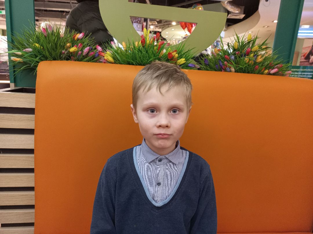 спорт, каратэ, победитель, соревнования, Международный фестиваль спортивных единоборств