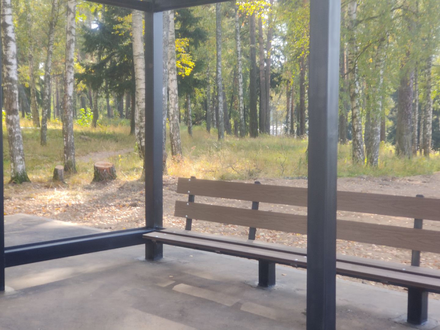 красноармейск, г.о. пушкинский, дороги, транспорт,