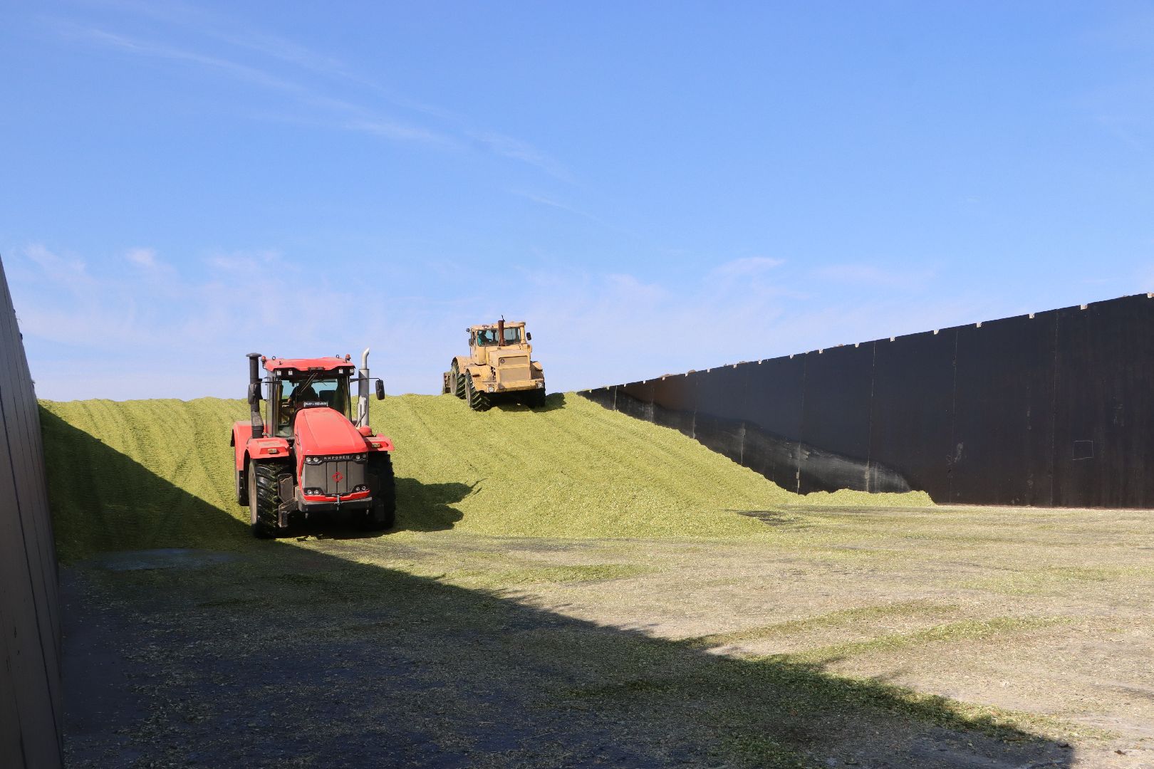 Серебряные Пруды, сельское хозяйство, подмосковье, корм,